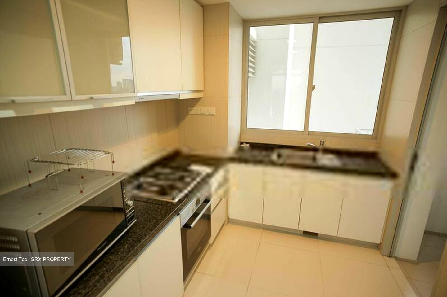The Metropolitan Condominium (D3), Condominium #552472761